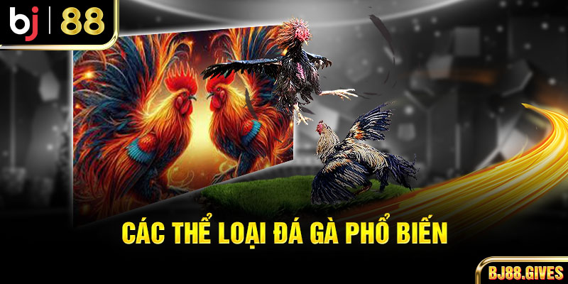 Các thể loại đá gà phổ biến