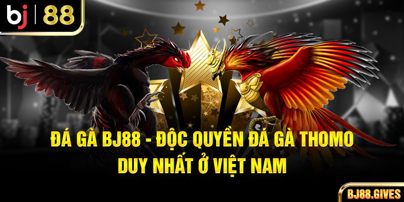 Đá Gà BJ88 - Độc Quyền Đá Gà Thomo Duy Nhất Ở Việt Nam