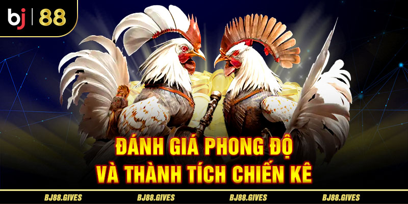 Đánh giá phong độ và thành tích chiến kê